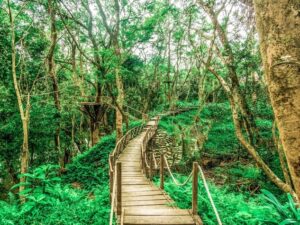 tour Động Phong Nha công viên ozo