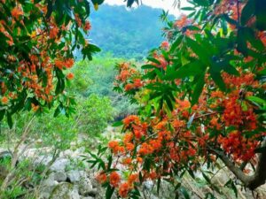 tour đà nẵng quảng bình 3 ngày 2 đêm